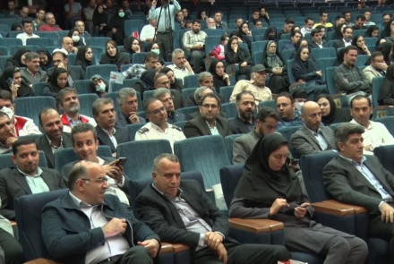 حرفه ای